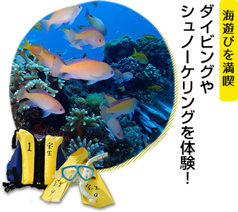 海遊びを満喫 ダイビングやシュノーケリングを体験！